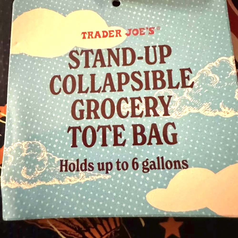 Set of 2 Trader Joes Collapsible Bags: sturdy bags with hard sides and bottom. - Picture 7 of 8